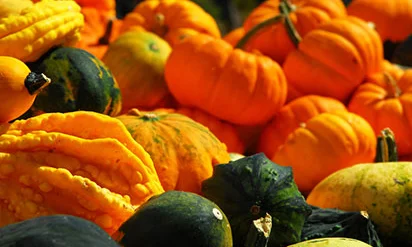 Pumpkins