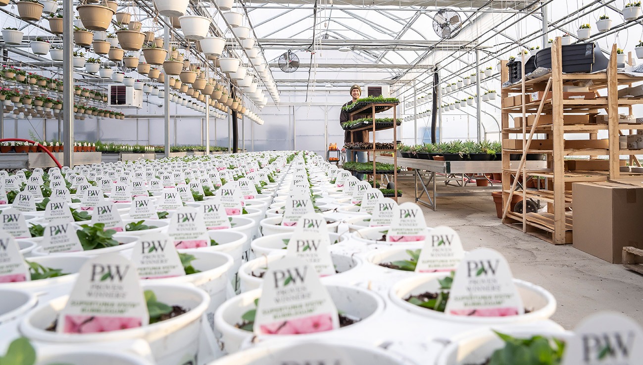 Quality, Care, & Sustainability